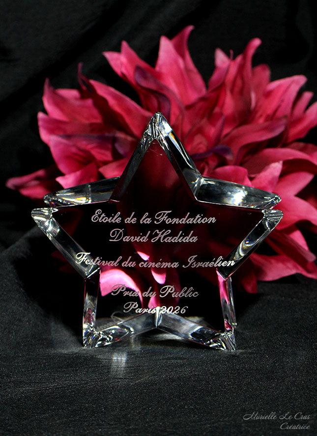 Étoile en cristal de Baccarat personnalisé pour un prix de la Fondation David Hadida pour le Festival du cinéma