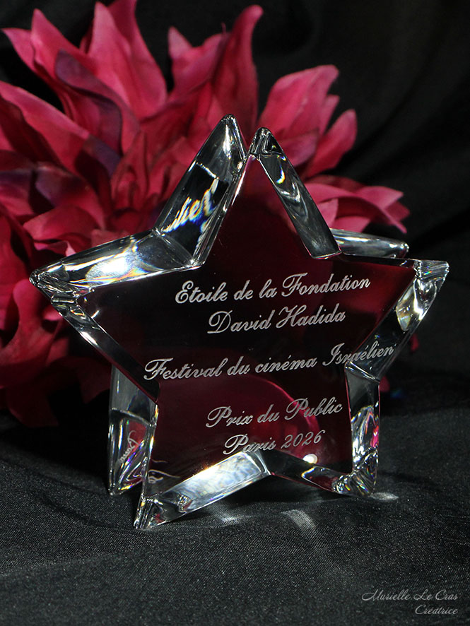 Étoile en cristal de Baccarat personnalisé pour un prix de la Fondation David Hadida pour le Festival du cinéma