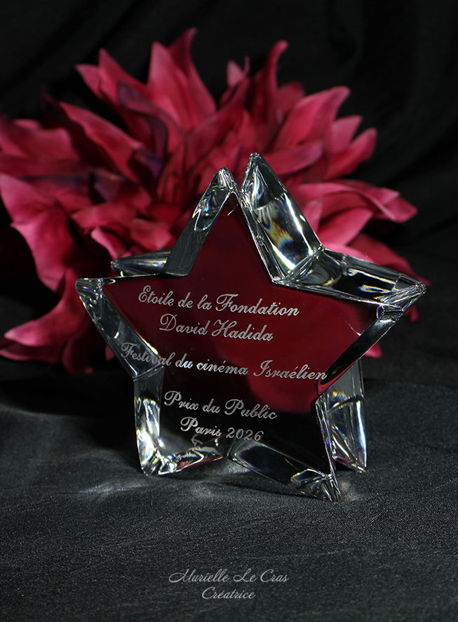 Étoile en cristal de Baccarat personnalisé pour un prix de la Fondation David Hadida pour le Festival du cinéma